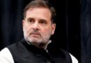 जातिगत जनगणना राहुल गांधी के संघर्ष की जीत : कांग्रेस, कांग्रेसियों ने जाहिर की खुशी