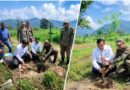 भविष्य की हरियाली तैयार कर रहा एमडीडीए