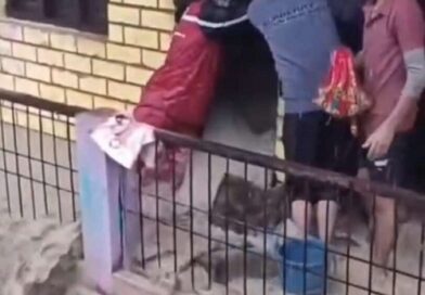 भीमताल: अलचौना में बारिश का कहर, घरों में घुसा पानी, दहशत में ग्रामीण, देखें वीडियो
